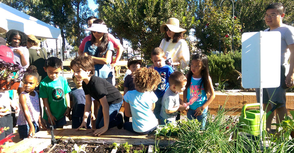 Children's Garden Workshop