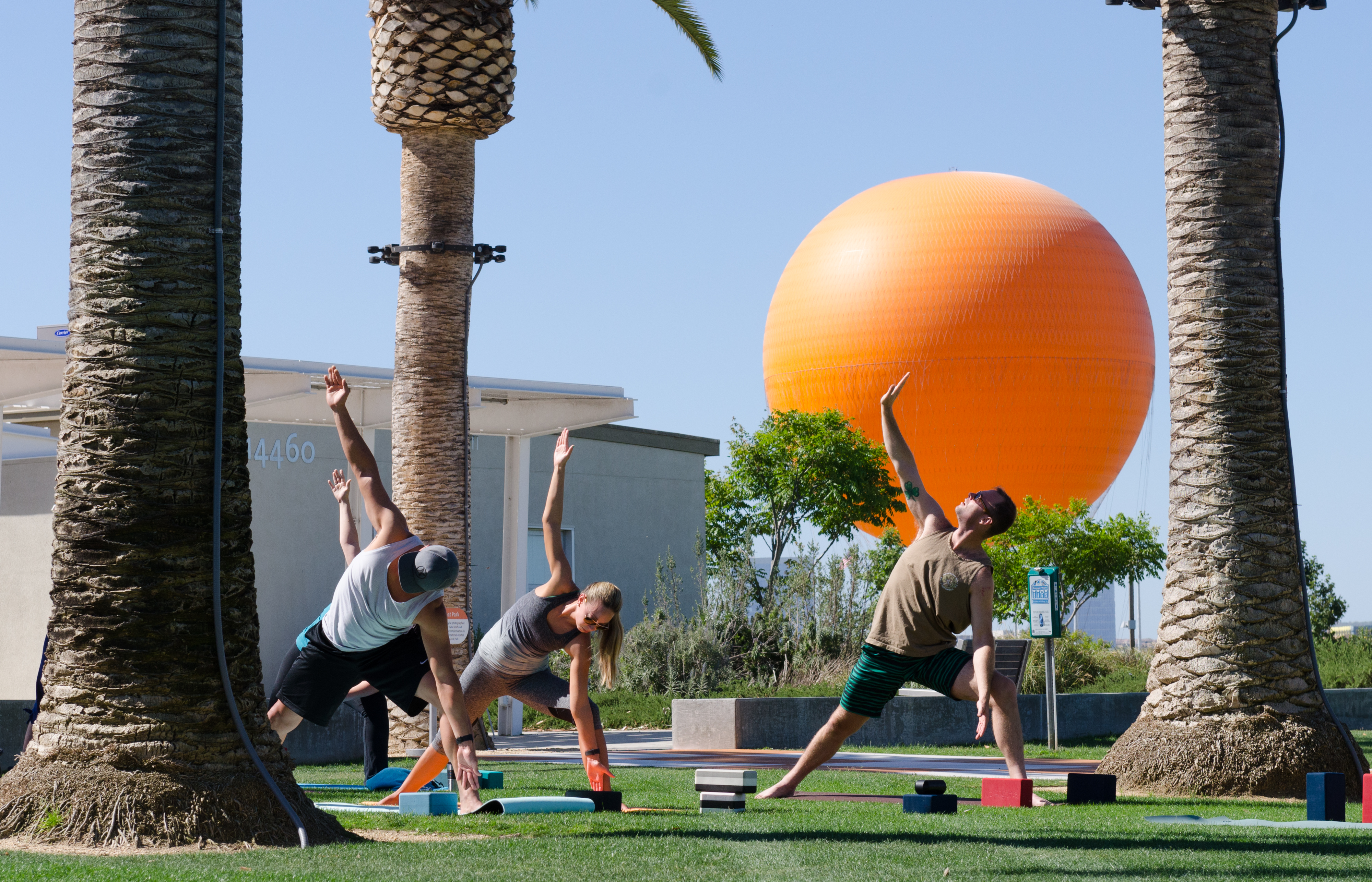 Yoga in the Elements