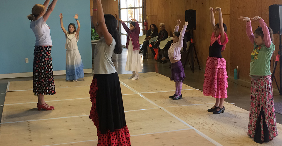 Flamenco Dance Youth