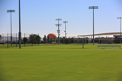 Soccer Fields