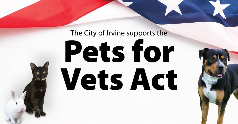 pets and vets