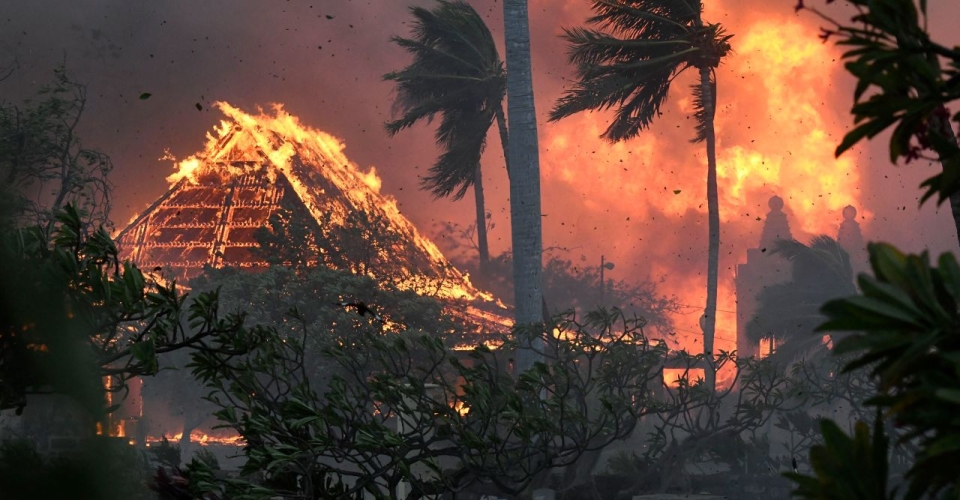 A structure on fire, palm trees blowing in the wind with flames behind them