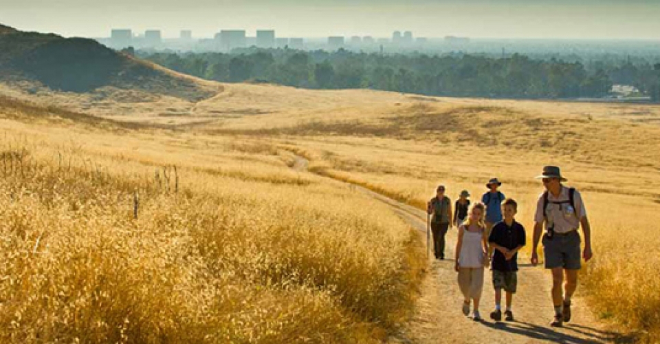 group walking through open space