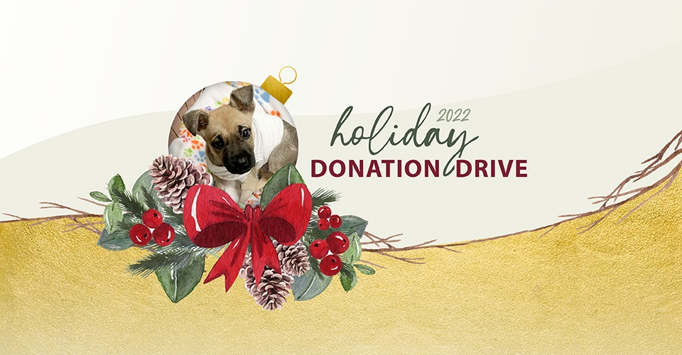 2022 Irvine Animal Care Center Holiday Donation Drive | City of Irvine