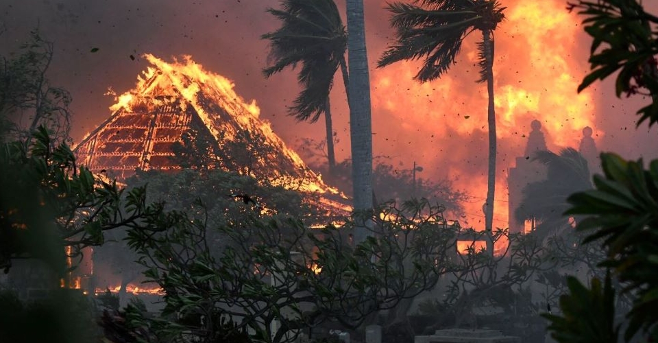 A structure on fire with palm trees blowing in the wind and flames behind them. 